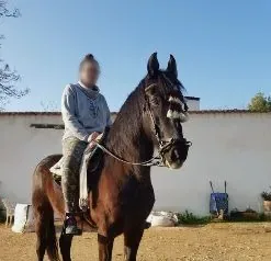Maja, 31